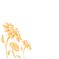 Sunflower vector illustration 