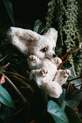 Obraz premium handmade teddy fennec in flowers 