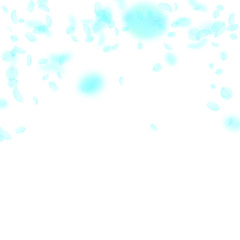 Turquoise flower petals falling down. Magnificent 