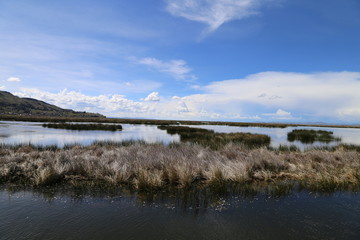 チチカカ湖