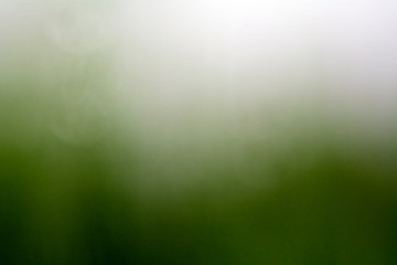 beautiful natural green gradient background
