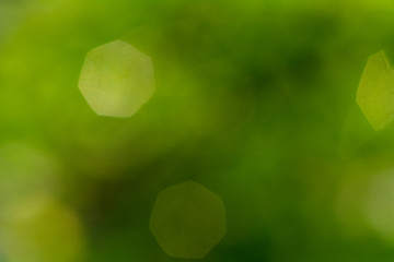 beautiful natural green gradient background