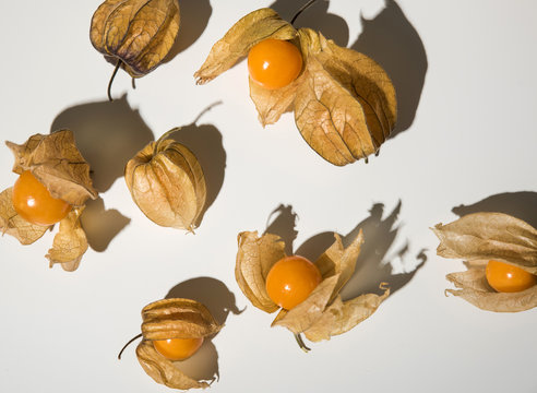 Fruit