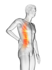 3d rendered medically accurate illustration of a mans painful back