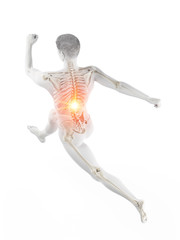 3d rendered medically accurate illustration of a runners painful back