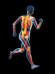 3d rendered medically accurate illustration of a runners skeleton