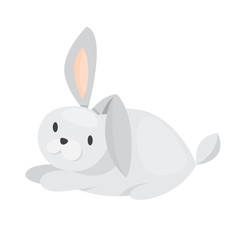 Cute funny rabbit. Animal with long ears
