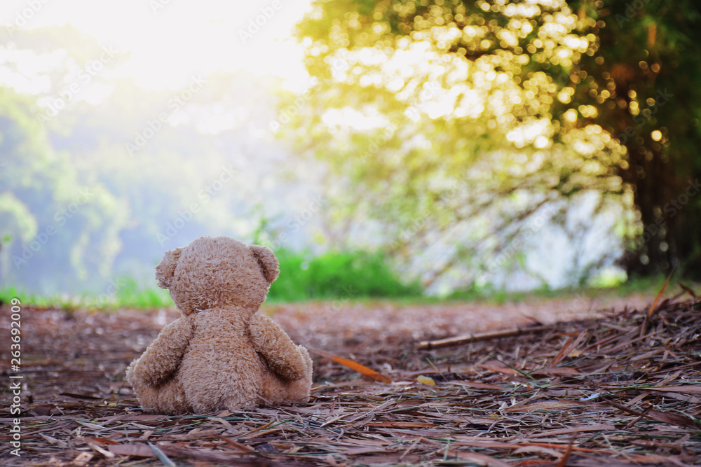 Wall mural lonely teddy bear sitting with nature