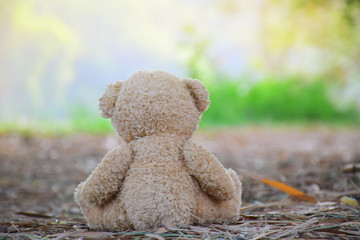 Lonely teddy bear sitting with nature