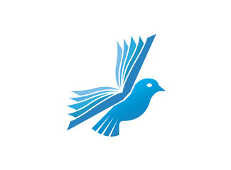 Dove bird fly with wings book for logo design illustration, education icon, read and learn symbol