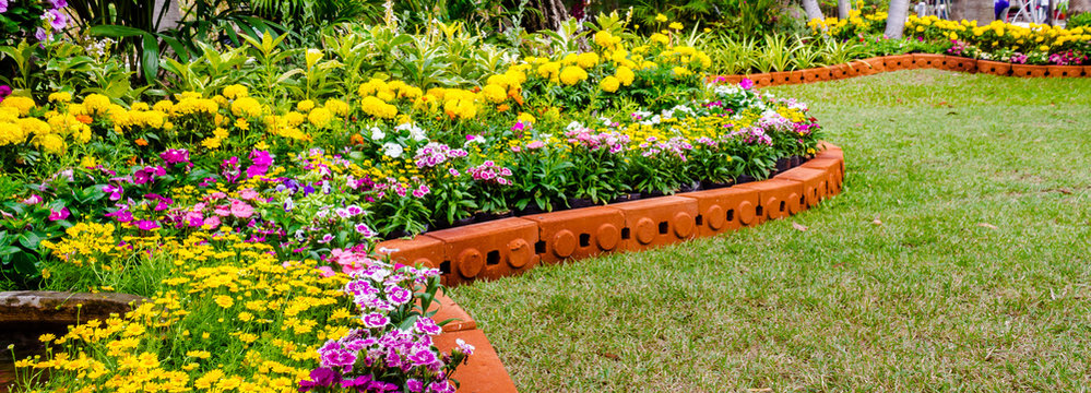 Panorama vivid flower pot decoration in cozy home flower garden on summer.