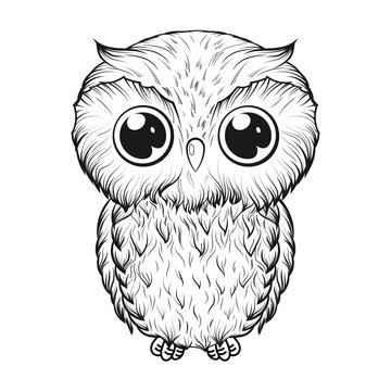 Cute owl in cartoon style isolated on white background. Hand-drawn vector illustration
