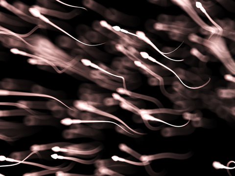 3d rendered illustration of a swarm of human sperm
