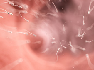 3d rendered illustration of a swarm of human sperm