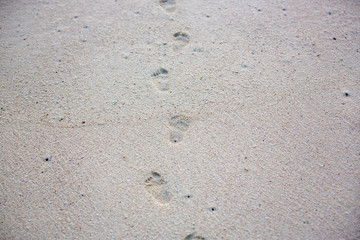 Little baby steps in the sand