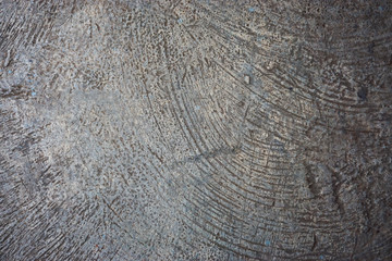 Fototapeta premium Close up gray cement texture