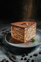 A large piece of chocolate-nut cake sprinkled with ground cocoa. On a gray plate with a sprig of mint. Close-up. Dark photo.