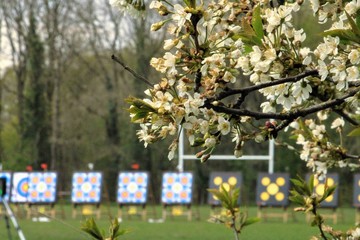 Cherry blossoms with archery targets