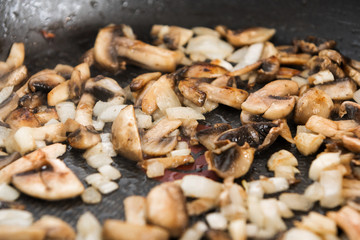 Fried mushrooms in a pan food ingredient