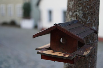birdhouse in old town
