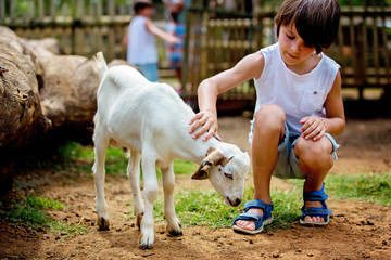 Preschool boy, petting little goat in the kids farm. Cute kind child feeding animals