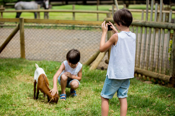 Preschool boy, petting little goat in the kids farm. Cute kind child feeding animals