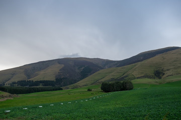 Green Mountain landscape near Queenstown in New Zealand