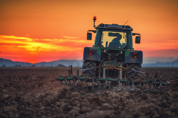 Fototapeta premium Beautiful sunset, farmer in tractor preparing land with seedbed cultivator