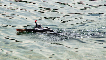 Schwimmsport