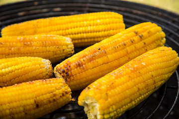 BBQ Corn