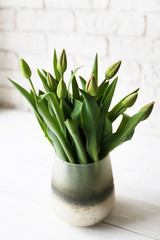 Multy purpose fresh flower composition, bouquet of green tulips w/ closed buds in glass vase. Women's day, mother's day greeting concept. Copy space, close up, top view, crop shot, background.