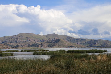Fototapeta na wymiar チチカカ湖　プーノ　ペルー