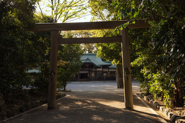 Atsuta Shrine and torii gate at sunset, Nagoya