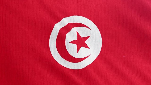 Tunus flag is waving 3D illustration. Symbol of Tunusia national on fabric cloth 3D rendering in full perspective.