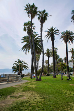 LOS ANGELES, USA - MAY 21, 2018: Palms and the pier at Santa monica beach in LA. Palms and the pier at Santa monica beach in Los Angeles