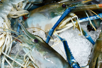 Big fresh river prawn are ready to cooking,In the ice,on the White Blackground.