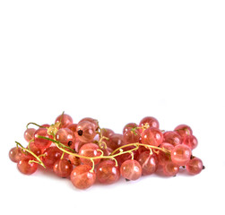 Currant berries white and pink on a white background