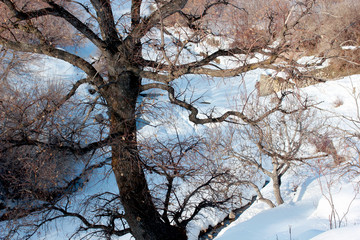 small stream snow waters