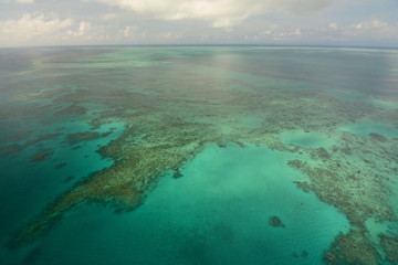 Obraz premium Great Barrier Reef. Port Douglas. Tropical North Queensland. Australia