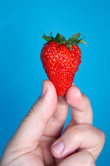 Obraz premium hand holding a strawberry on blue background