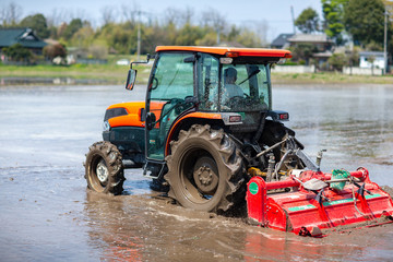 農業　栽培　稲
