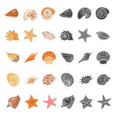 Shells and sea stars color flat and simple icons set. Vector concept