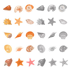 Shells and sea stars color flat and monochrome icons set. Vector concept