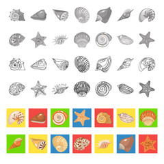 Shells and sea stars color flat, line and monochrome icons set. Vector concept