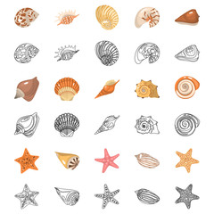 Shells and sea stars color flat and line icons set. Vector concept