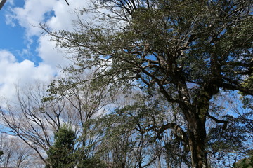 空