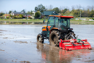 農業　栽培　稲