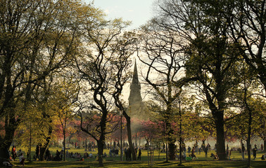 Obraz premium Evening in park