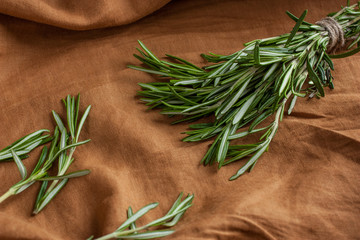 Fresh rosemary herb on orange background.