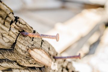 The remains of the burnt house